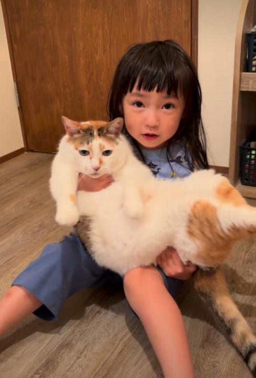 猫を横抱きする女の子