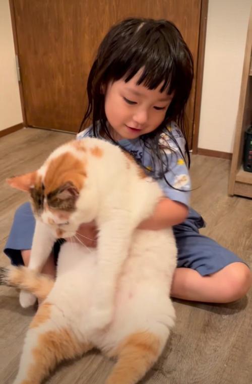 猫を抱っこしようとする女の子