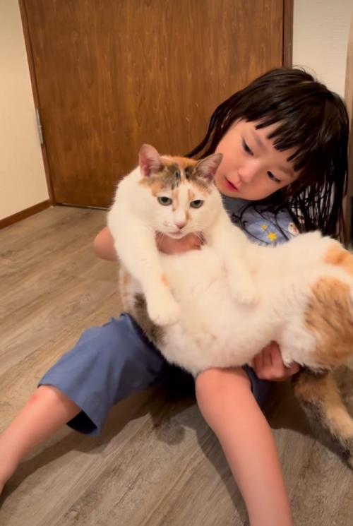猫に話しかける女の子
