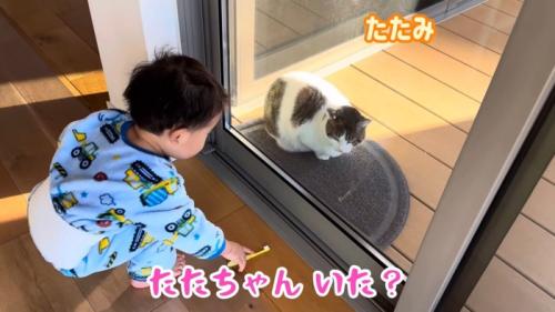 テロップ(下)「たたちゃんいた?」