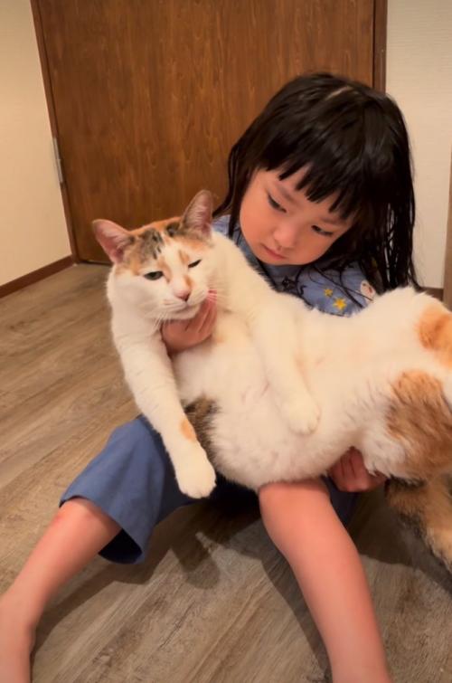顎の下を撫でられる猫