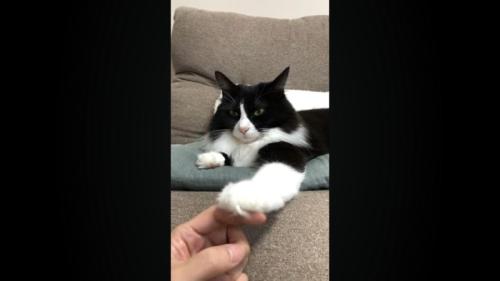 目を細めた表情