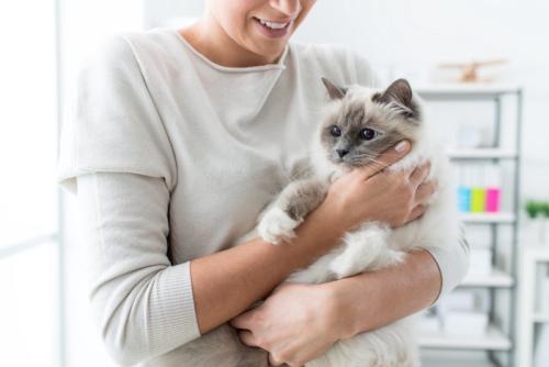 猫を抱く女性