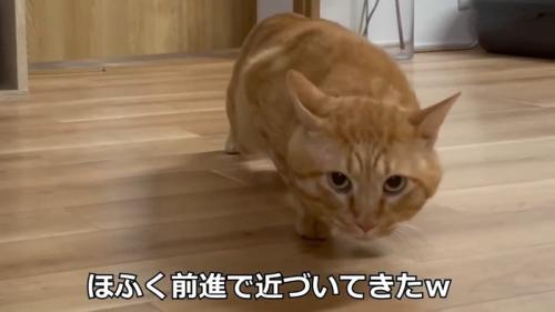 ほふく前進で