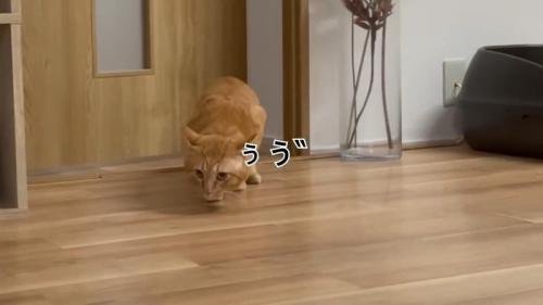 ぅう゛