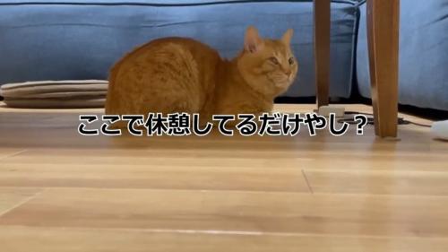 ここで休憩してるだけやし?