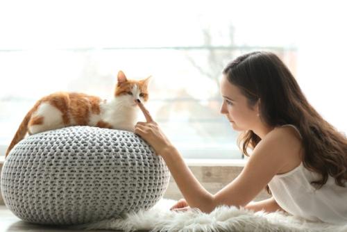 窓辺でじゃれ合う猫と女性
