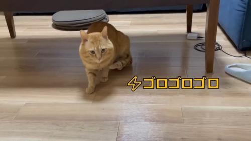 ゴロゴロゴロ