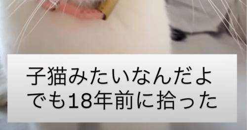 テロップ