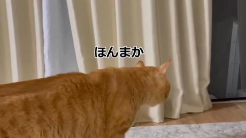 ほんまか