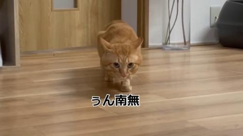 ぅん南無