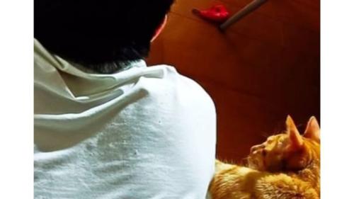 男性と猫