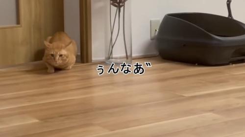 ぅんなあ゛