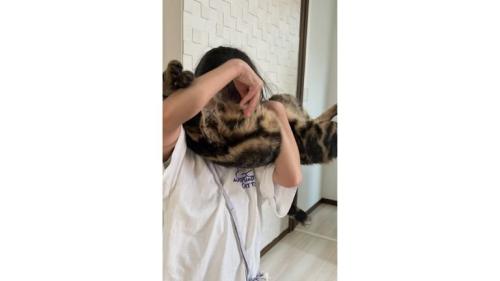 抱っこされている猫
