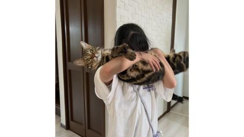 抱っこされている猫