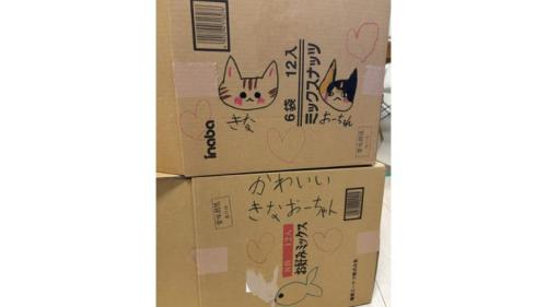 ダンボール箱