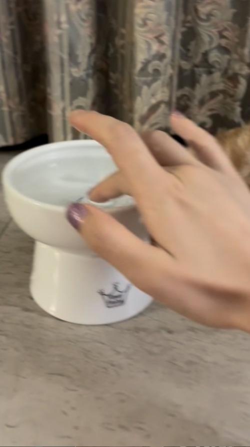 水皿の水を指に付ける飼い主さん