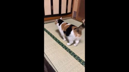 後ろ姿