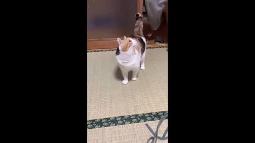 振り向く姿