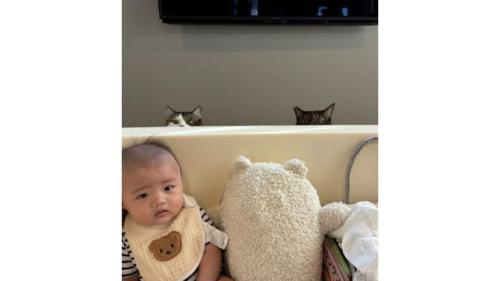 赤ちゃんと猫