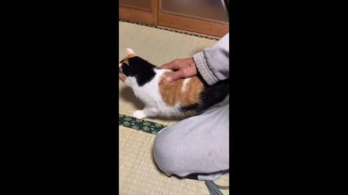 背をポンポン