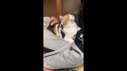 見上げながら目を細めて