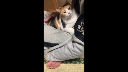 カメラ目線