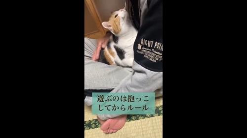 遊ぶのは抱っこしてからルール