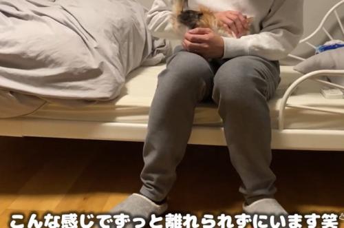 ベッドに座る人と膝に乗る子猫