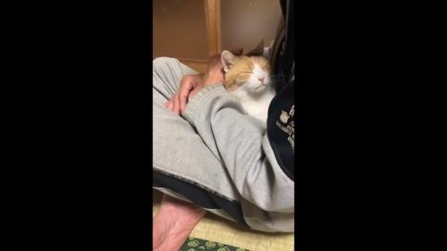 目を閉じた姿