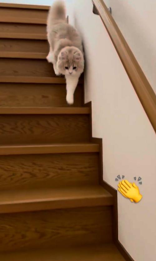 拍手の絵文字の写真