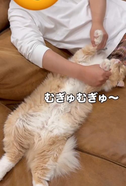 「むぎゅむぎゅ」と書かれた写真