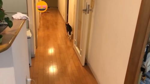 歩いて行く後ろ姿