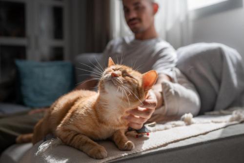 男性と猫