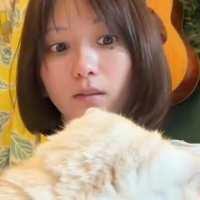 パソコン作業中、近くにいた愛猫→何度も『猫吸い』をしていると…笑ってしまう展開に1万いいね「スイッチ押しちゃったw」「吸いすぎ注意w」