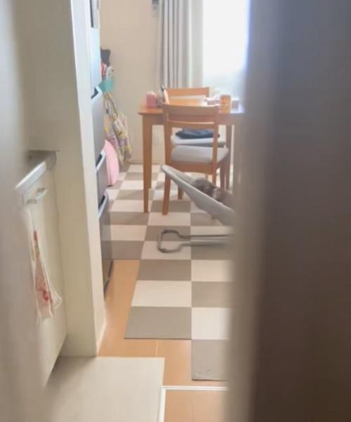 リビングの扉