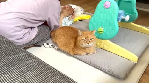 前を見据えた姿