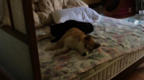 少し離れて