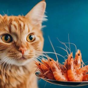 猫が絶対に食べてはいけない『危ない魚介類』3選 起こりうる健康トラブルや注意が必要な理由を解説