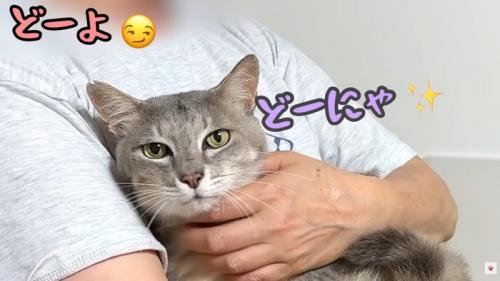 テロップ「どーよ」「どーにゃ」