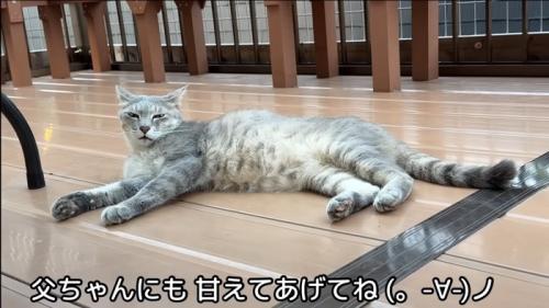 テロップ「父ちゃんにも～」