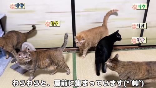 わらわらと