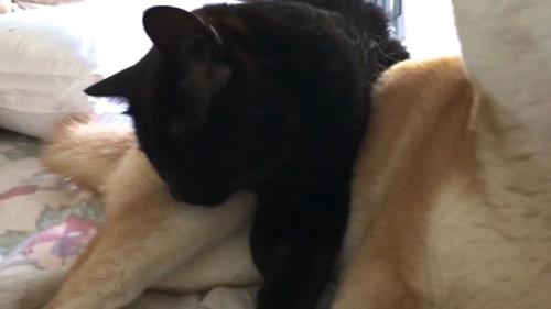 眠る天くんのアップ