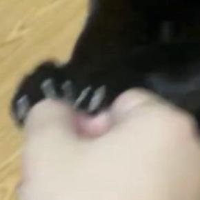 飼い主の遊びに付き合ってくれる黒猫→『顔』を見ると…可愛すぎる表情に６万いいね「なんとも言えない顔が可愛い」「笑ってしまった」と話題