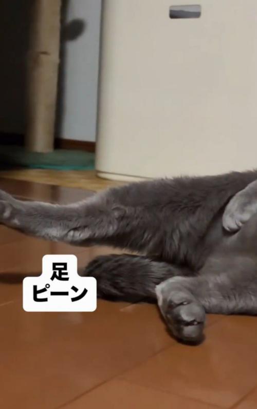 「足ピーン」と書かれた写真