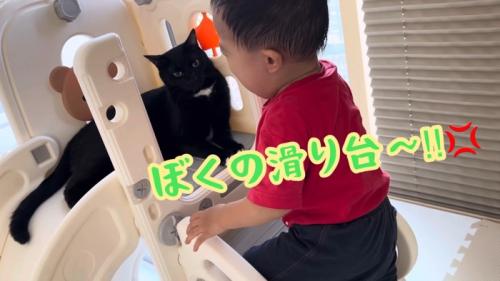すべり台を占拠する猫と泣いている赤ちゃん
