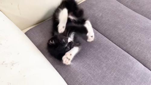 ひっくり返って