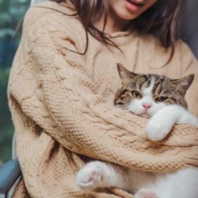 猫が落ち着ける『正しい抱っこ』のポイント5つ　嫌がってしまう理由や避けるべき抱き方まで