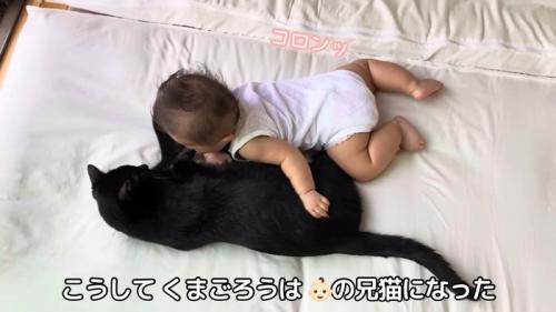 猫と寝る赤ちゃん