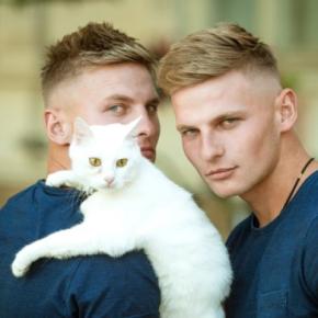 猫はどのように『飼い主と他人』を見分けているの？5つの判別ポイントや方法を解説